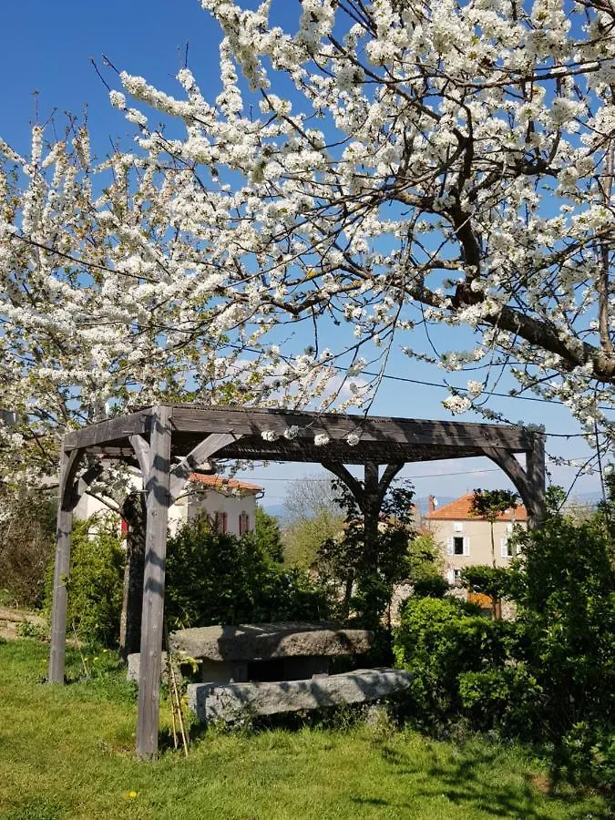 La Cabane Du Jardin Bongheat 0*,